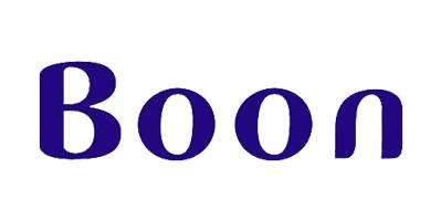 永利yl23411光电合作伙伴-BOON