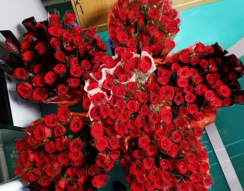 永利yl23411女神节